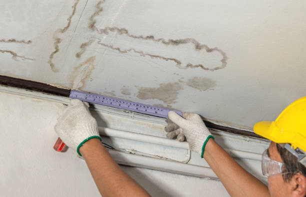 Reliable Water Damage contractor in Medina, ND by Water Damage Irwin